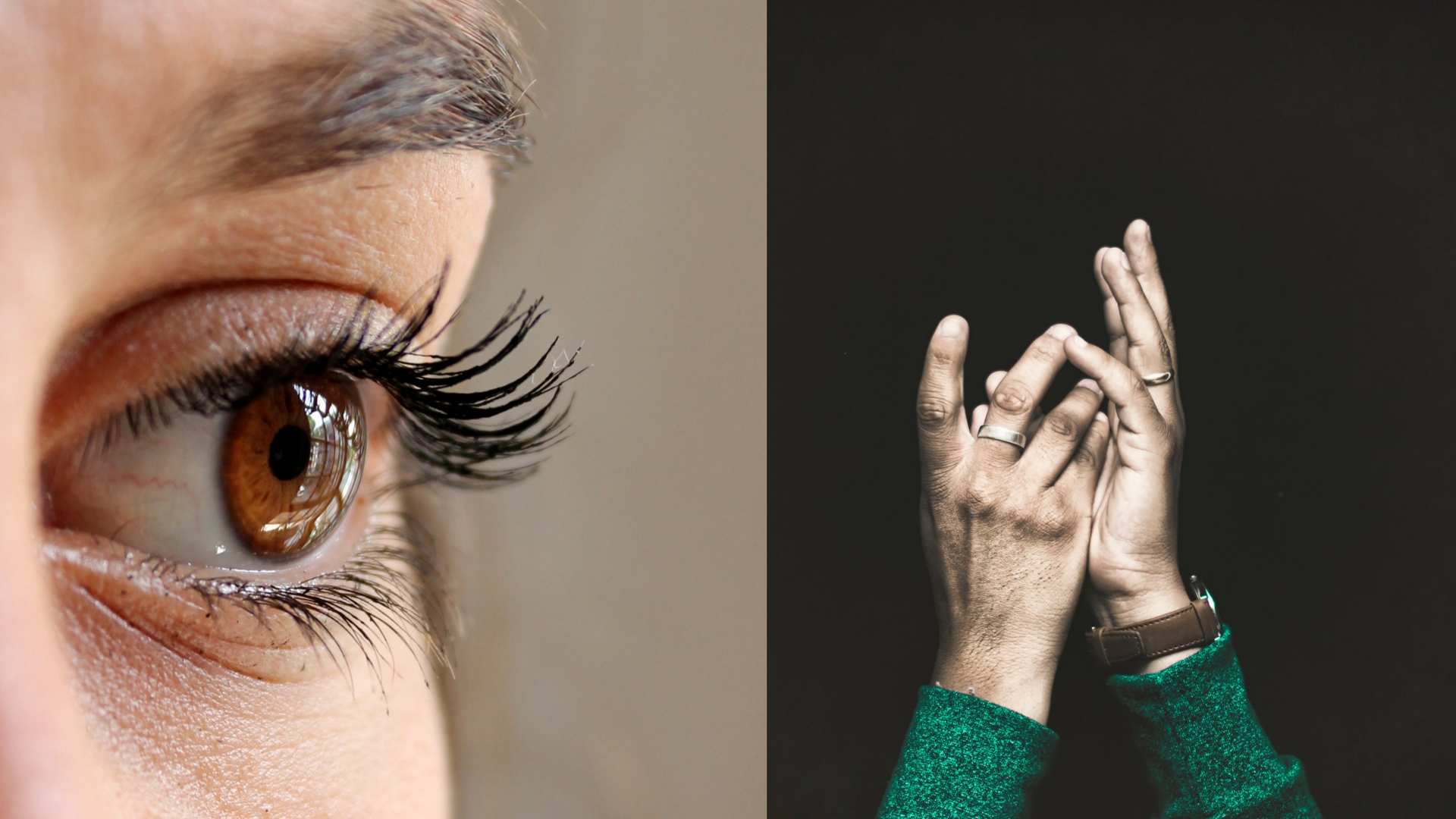 Scientist study the computational architecture of eye-hand coordination